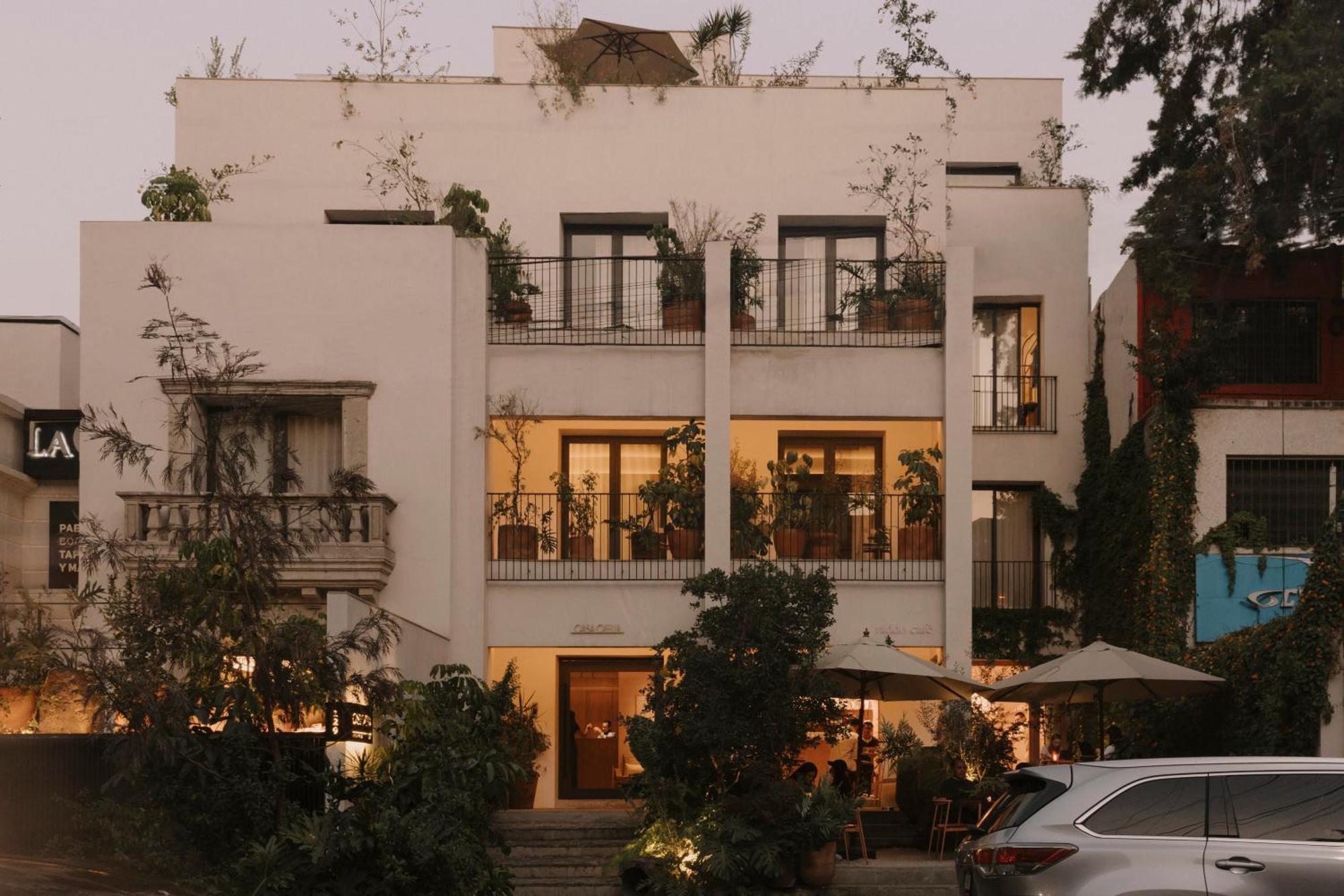 Hotel Casa Ofelia Città del Messico